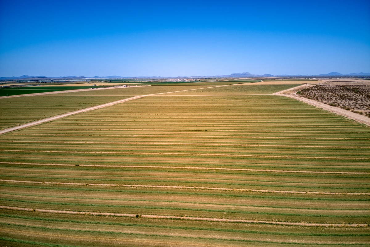 Garrett Development Corporation