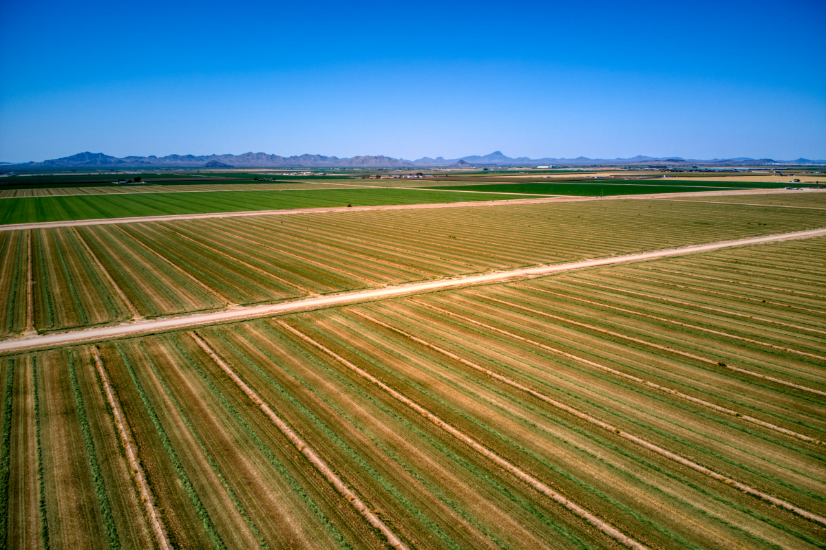 Garrett Development Corporation